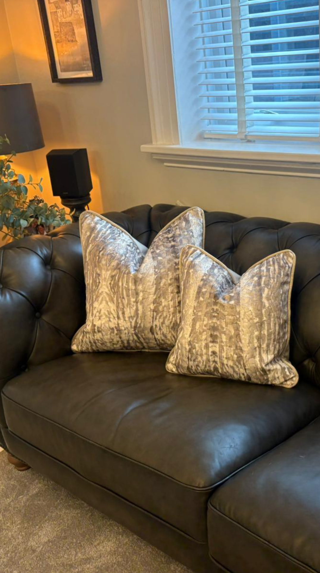 Two piped velvet cushions in champagne tones on a leather sofa